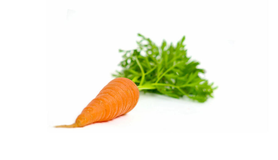 Carrot